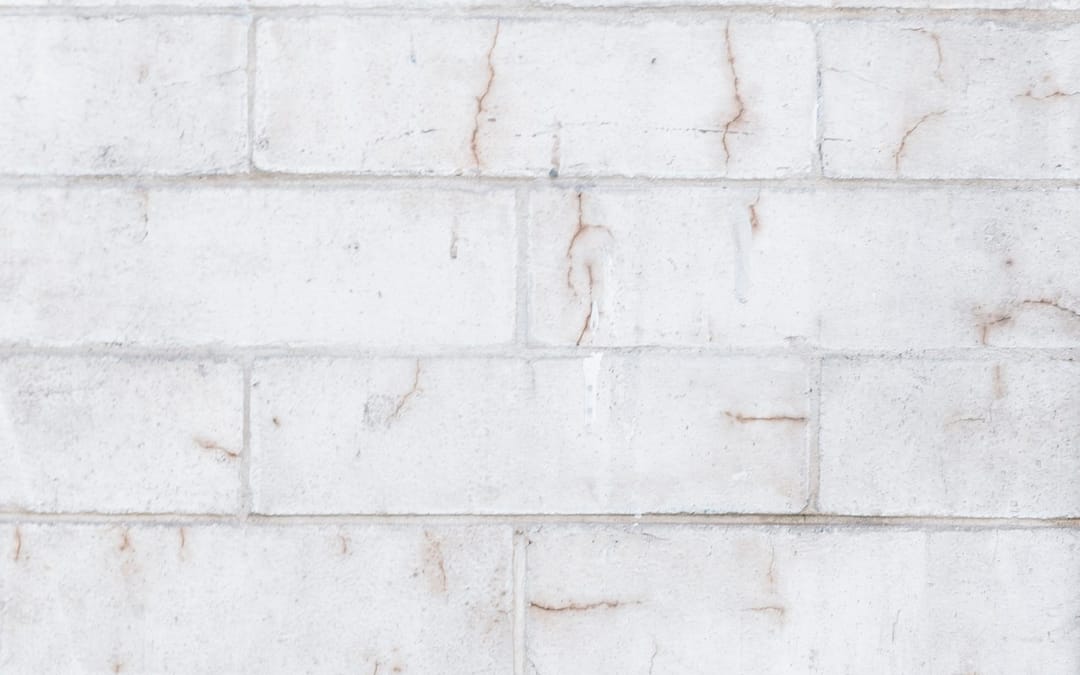 mejor tabique ladrillo