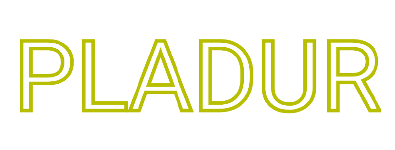 PLADUR SIN FONDO pladur sin fondo